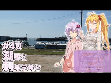 ふたりぐらしのゆかマキ ときどきふたりたび #40「潮騒と刺身定食と」【A.I.Voice2＆CeVIO AI車載】