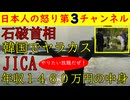 【石破首相】韓国で●●してしまい大炎上【JICA】年収1460万円の中身がひどすぎる　#石破首相 #韓国 #JICA #謝罪 #ナイジェリア