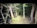 怪奇！呪われし人骨の発掘、城山公園を心霊調査！