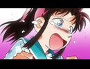 峰さやかちゃん集（真･侍伝 13-24）