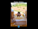 grant t  waterpark