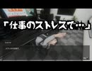 【デバッグデッドライン】20年来の友人と地獄のゲームデバッグアルバイト #8【実況プレイ】
