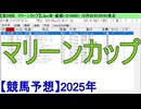 【競馬予想】2025「マリーンカップ(GⅢ)」