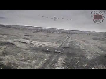 ホモと見る白骨街道