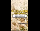 ボードゲームなど即売会イベントガイド2025年10月 #ボードゲーム #ボドゲ