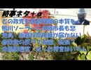 反ワクからソフトランディングを図る参政党ｂｙ失敗小僧！れいわの医療政策はお花畑ｂｙ鳥集徹！太った将官は要らないｂｙヘグゼス米国防長官！福島市、メガソーラーの光害に悩む!野口健の怒！【アラ還・読書中毒】