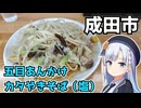 【車載】成田市にあんかけカタ焼そばを食べにドライブ【千葉県のグルメ】