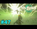 【ゆっくり実況】ティアキンぜんぶやる #47