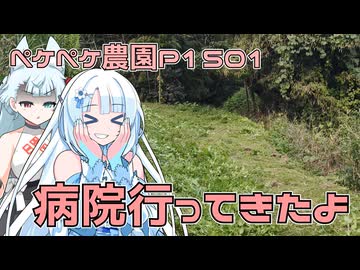 2025年10月2日　　農作業日誌P1501　なんかよくわからない結果だけど耳鼻科に行ってきたよ
