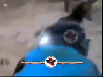 ホモと見るISメンバーが隠れる洞窟を偵察するイラクの警察犬