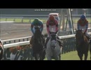 2017 京都大賞典 (GII)　スマートレイアー　OLD GRAY MARE