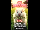 【競馬予想】ＧⅡ #京都大賞典□AIねむリン□今回の予想担当は きのこ□ 推奨馬2頭で好配当的中□目指します□《#競馬楽部□LOVE》Vol.196通算Vol.398