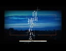 【歌ってみた】自由に捕らわれる。Cover.風並将吾