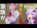 私達の牧場でバザー物語#９【牧場物語 Let's！風のグランドバザール】