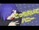 こっち向いてハニー / KAITO