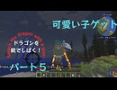 【パート５】ドラゴンかわいい【どらしば！】