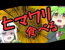 お腹がすいたらヒマワリ食べればいいじゃない