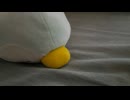はじめまして　あさのです