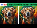 【！脳トレ+育脳に最適☆まちがい探しタイム！ 】＃312