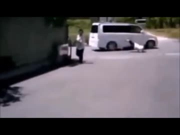 お嬢様と見る日本の交通事故集10