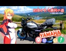 【バイク車載】 カスタムしたからビーナス走って幸せになりたい！【シリーズ23】