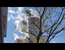 渋谷の上の方