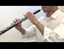 もののけグルーヴ(東方妖怪小町) / 幽閉サテライト / オーボエ吹いてみた