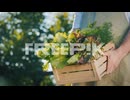 Male Farmer Holds A Box Of Fresh Lettuce Leaves 1