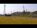 稲穂と特急はまかぜ