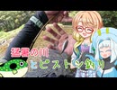 そらさんと釣りの思い出４７～猛暑の川とピストン釣り～