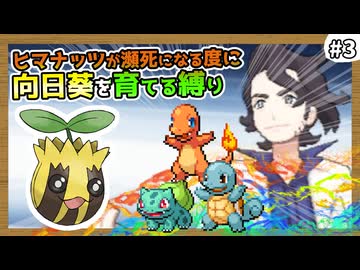 【ポケモンXY】ヒマナッツがひんしになったら『現実で向日葵を育てる縛り』（Part③）