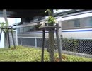 JR江原駅に入線する特急きのさき