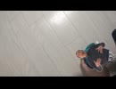 ネクロファンタジアが鳴る真島茂樹のオモチャ