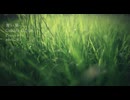 Galileo Galilei - 青い栞 Cover by ポストサークル (postcircle)