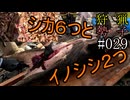 狩猟勢子動画＃029　シカ６つとイノシシ２つ