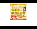 保護ねこの家譲渡会 in 天王寺