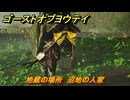 ゴーストオブヨウテイ　地蔵の場所　沼地の人家　＃３７　【Ghost of Yōtei】