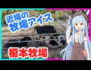琴葉つーりんぐ！！牧場アイス　榎本牧場【ソフトクリーム車載動画投稿祭】