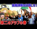 日本人は知らない「第二のアラブの春」そのきっかけとことの顛末【ゆっくり解説】
