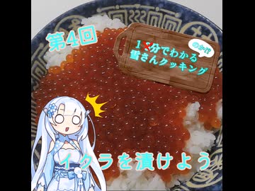 【WhiteCUL】1分でわかる(のか！？)雪さんクッキング その4：いくら【VOICEVOX】