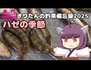 きりたんの釣果備忘録 2025　１０月は祭りとハゼのシーズンです