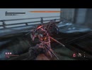 心中の弦一郎ノーダメージ　SEKIRO/隻狼/苦難厄憑 　再録