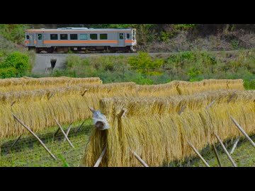 【のら】とりてつ❕ ~2025年 名松線の初秋~