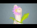 えんがちょ / Lo-+ feat. 音街ウナ