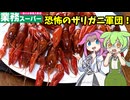 【ずんだもん解説】ザリガニ軍団襲来！レッドモンスターの正体に迫る【四国めたん解説】