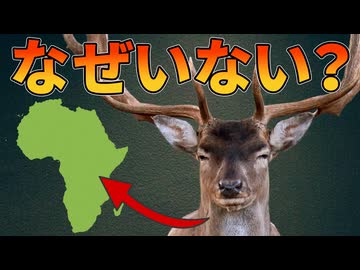 シカがアフリカのサバンナにいない理由【解説動画】