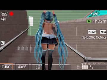 ミクさんを後ろから撮っただけ