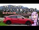 【ソフトクリーム車載動画投稿祭 】個人的に好きな山梨のソフトクリーム3選！/巨峰・シャインマスカット・清里【VOICEROID車載 /HONDA CIVIC RS FL1】