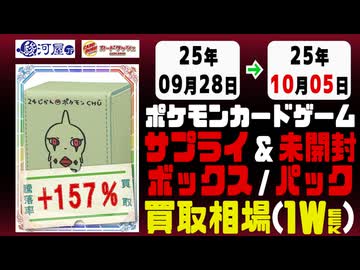 ポケカ　サプライ　未開封　まとめ売り 19点 ポケカ サプライ 未開封 まとめ売り 19点 ☆ポケカサプライ品