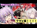 【DbD】突如実装されたクマと猫!!ニャイト・オブ・ザ・リビングキャットコラボでゆかりさんが無双する回　残忍なゆかりpart214 【VOICEROID実況/デッドバイデイライトキラー】